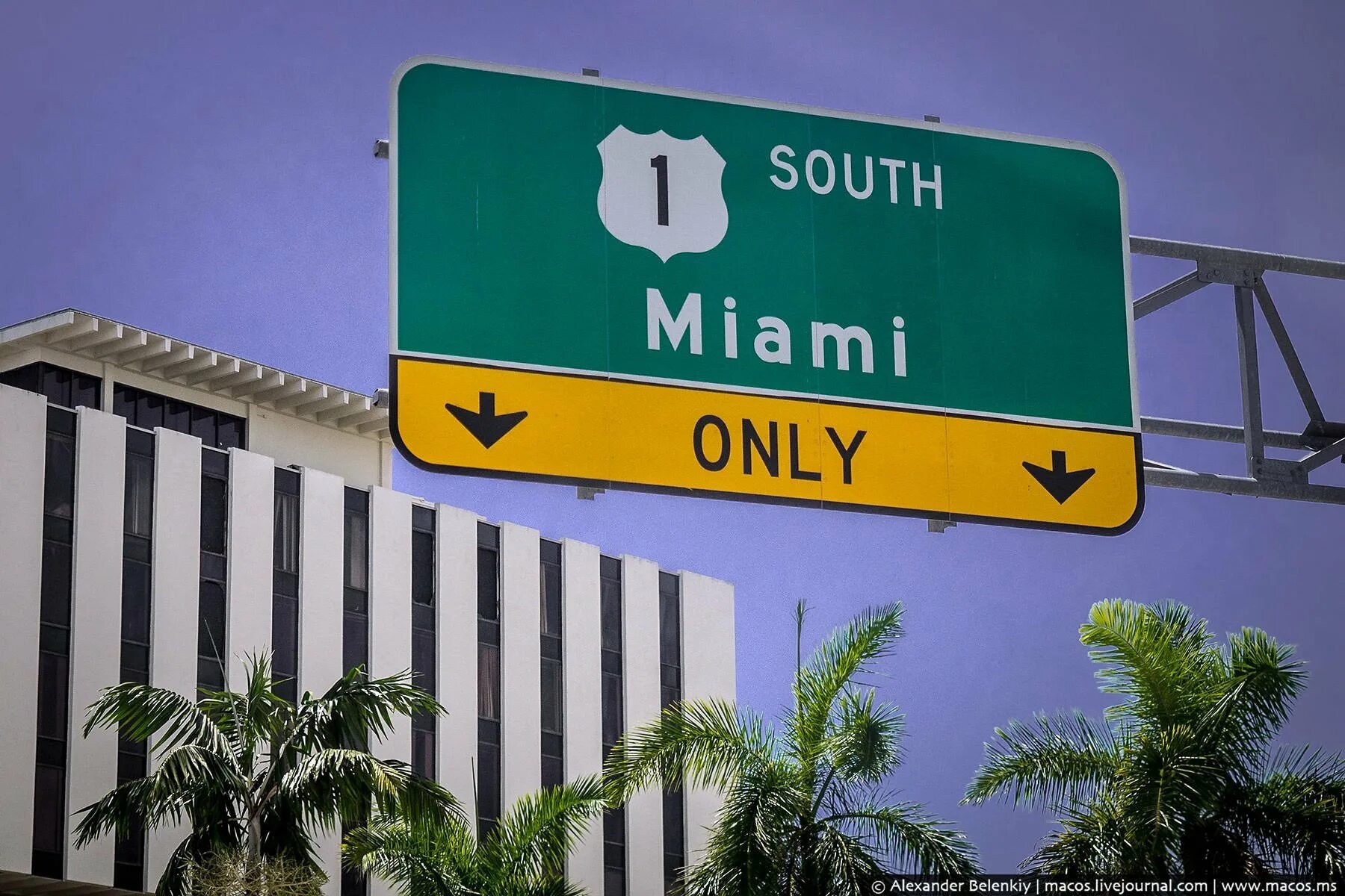 Читать текст песни damn i love miami. Miami перевод на русский. Miami перевод на русский. Miami перевод на русский. Карта города майами флорида.