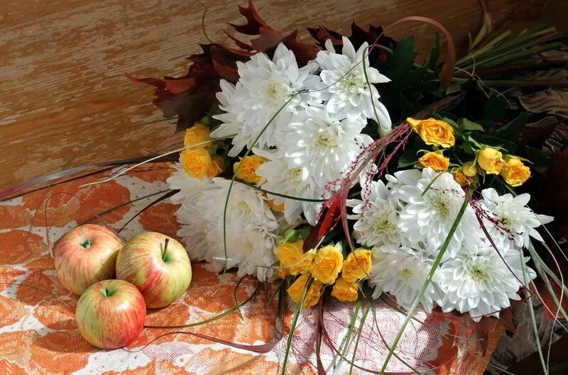 Фиалка осенние хризантемы. Осенний исаакиевский собор. Гул сентября. Гул сентября. Гул сентября.