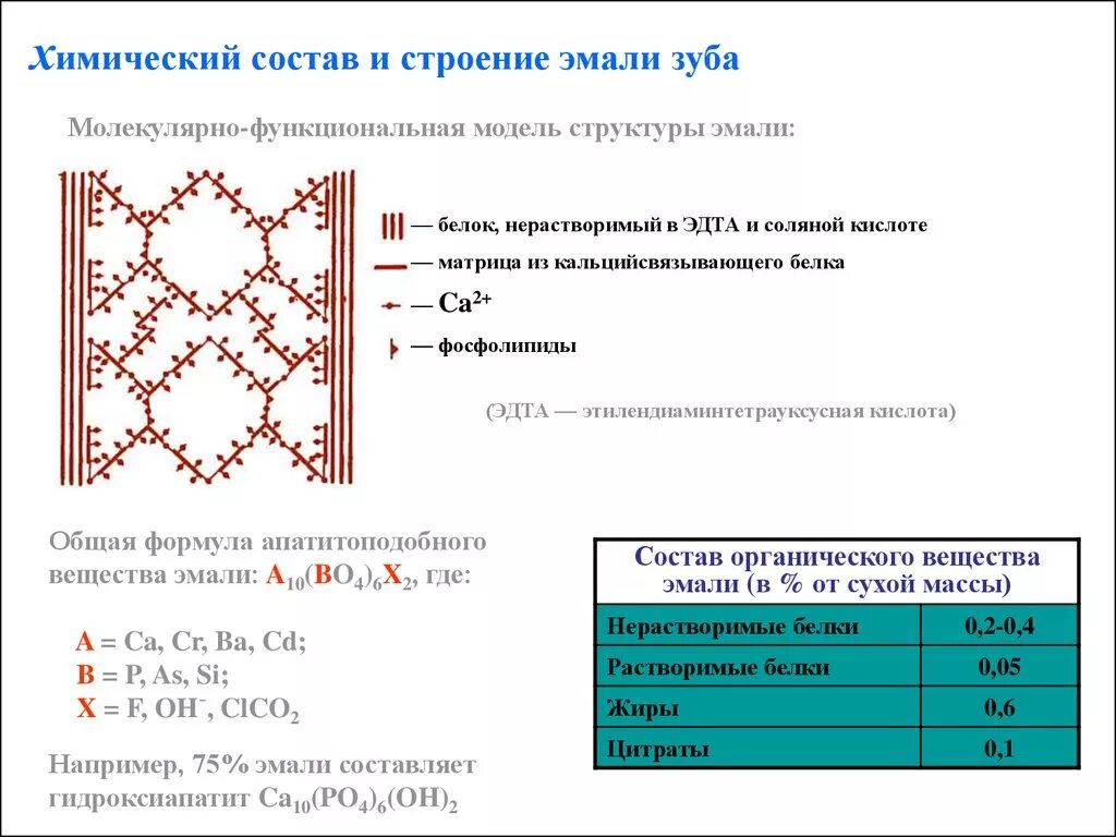 В чем особенность строения эмали какую функцию. Химическая формула эмали зуба. состав эмали химическая формула. формула зубной эмали химия. органические вещества эмали зуба.