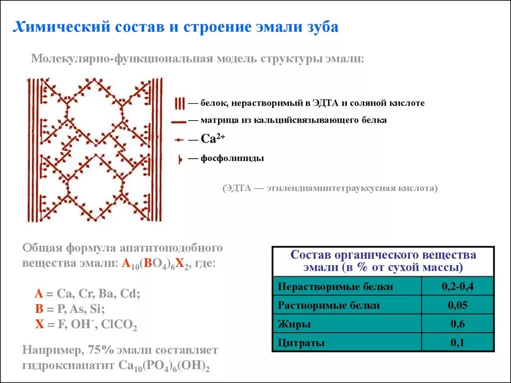 Белковая матрица. Химическая формула эмали зуба. Формула зубной эмали химия. Органические вещества эмали зуба. Химический состав эмали зуба.
