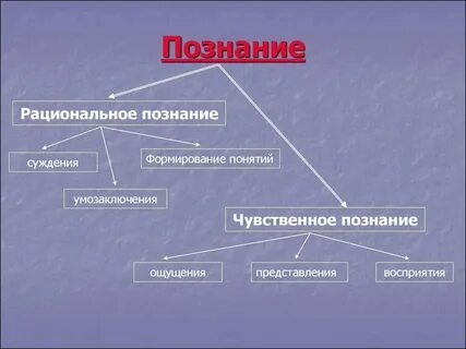 Понятие и определение познания