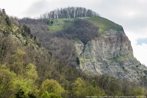 Тверская область на горе