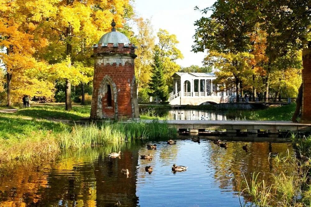 В царскосельском парке многое сохранилось. Пушкин царское село екатерининский парк. Город пушкин екатерининский парк. Царское село царскосельский парк. Екатерининский парк царское село весной.