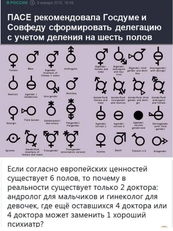 Пол человека пол цены. Виды человеческого пола. Разновидности полов человека. Гендеры список. Гендеры человека список.