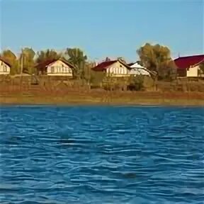Золотая рыбка астраханская область