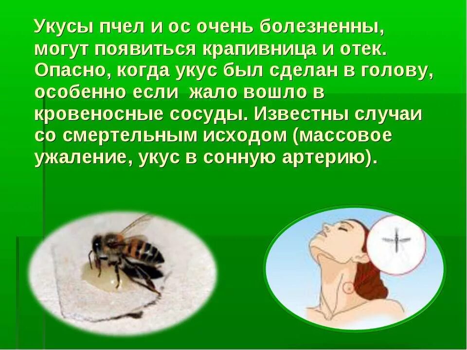 Укусы насекомых и защита от них обж. Защита от жалящих насекомых. Укусы насекомых и защита от них. Укусы насекомых презентация.