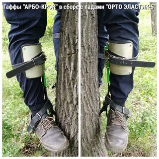 Лажу по деревьям как правильно