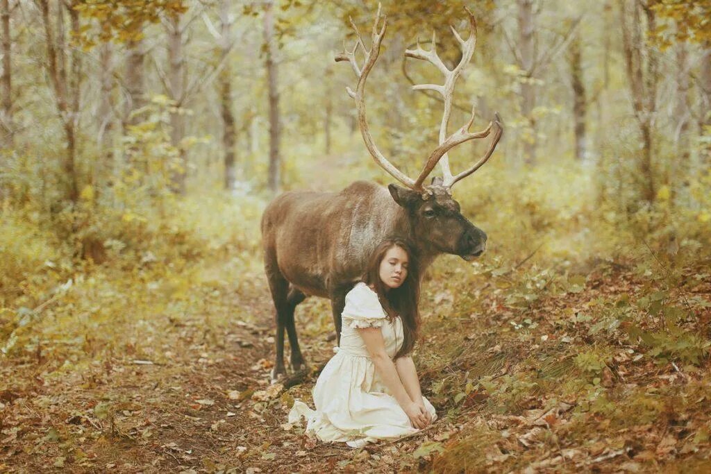 Олень в лесу. Олень девочка. Человек-олень. Девушка с оленем в лесу. Увидел лося в лесу