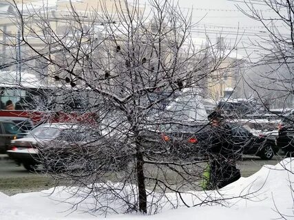 Челябинский гидрометцентр день