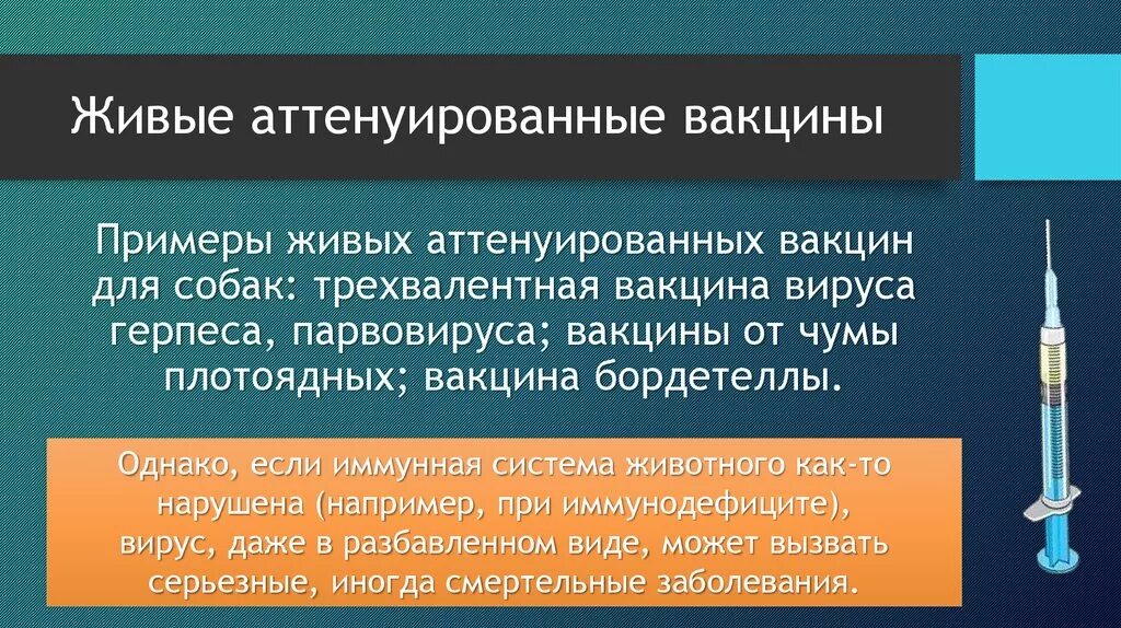 Живые вакцины. Живые аттенуированные вакцины. Живые вирусные вакцины. Живая прививка.