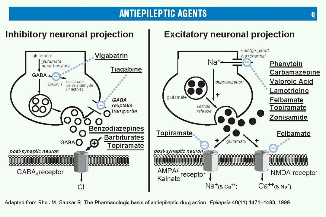 Mechanism of action. Antiepileptic drugs. Тиагабин механизм действия. Acyclovir mechanism of Action.