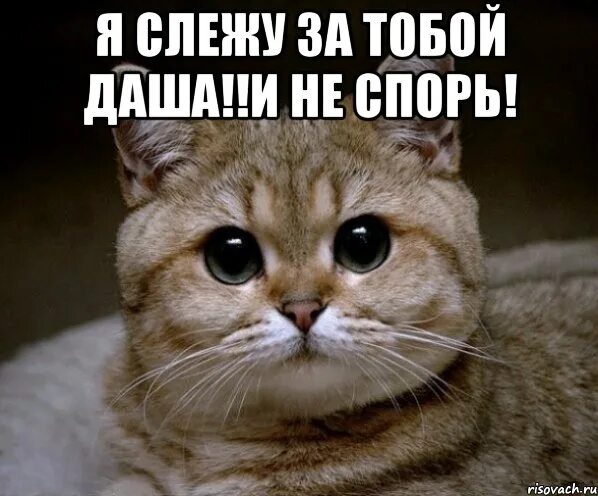 Слежу за тобой. Я не слежу за тобой. я слежу за тобой за тобой слежу. слежу за тобой фото.