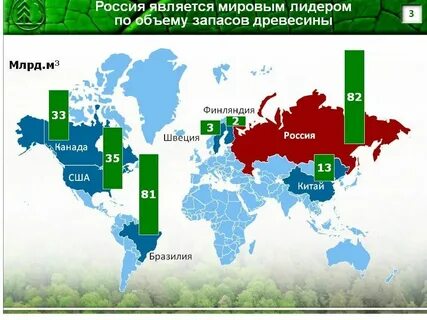 Какая страна 1 по лесам