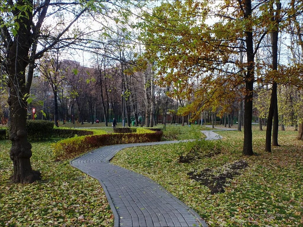 Усадьба трубецких в хамовниках. Усадьба трубецких в хамовниках. Парк трубецких в хамовниках. Усадьба трубецких в хамовниках. Парк на фрунзенской усадьба трубецких.