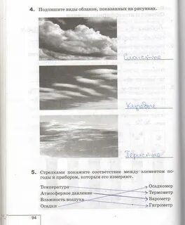 Подпиши виды