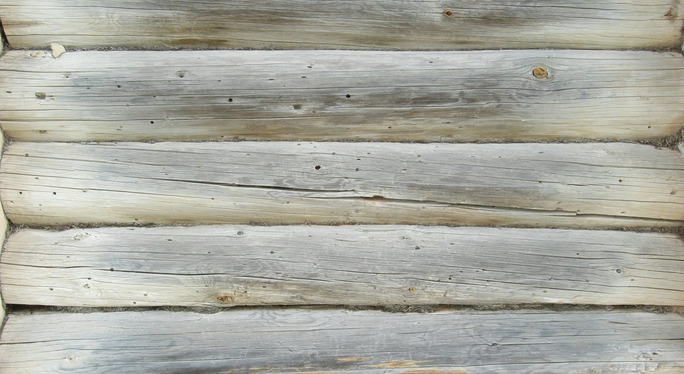 стена из бревен. оцилиндрованное бревно текстура. бревна фон. текстура бревна бесшовная. бревенчатый фон.