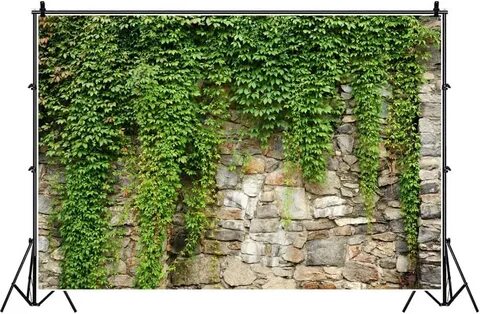 Ivy перевод