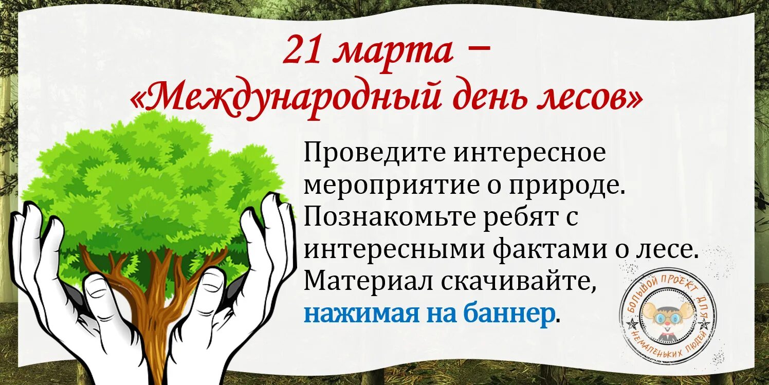 21 международный день леса. Международный день леса. Междуанродныйдень лесов. Международный день лесов картинки.