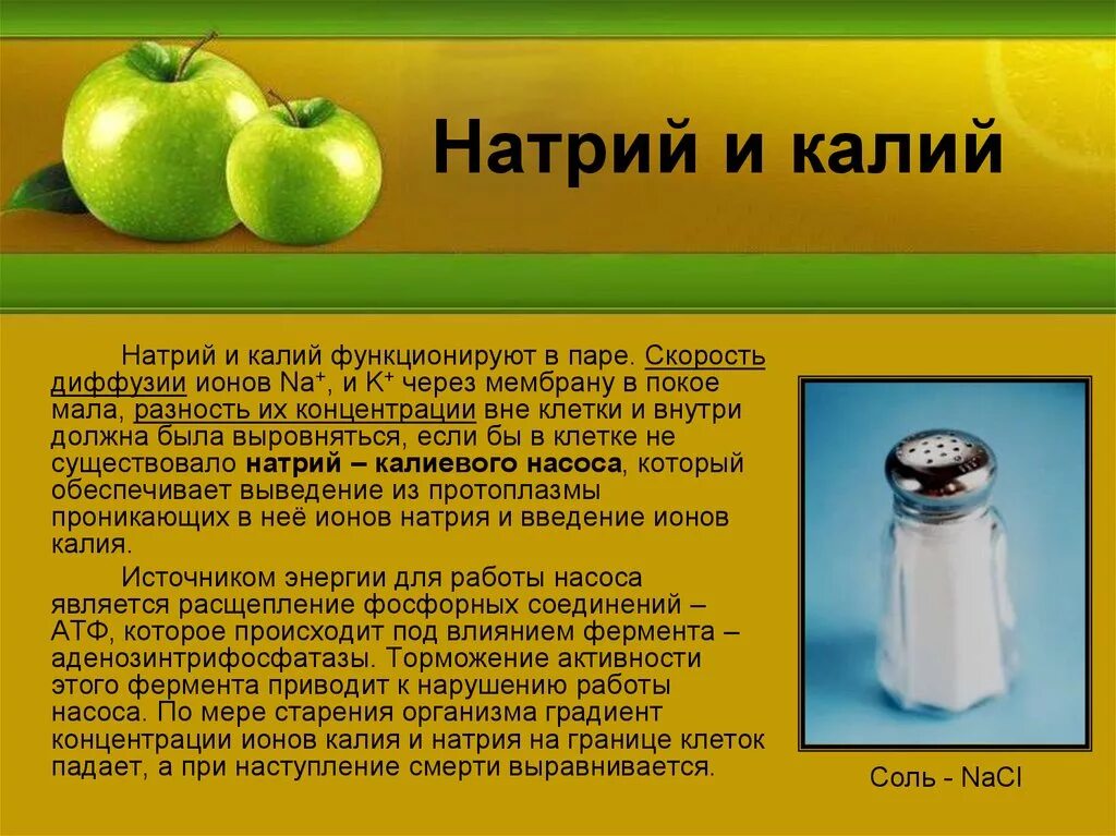 Чем отличается калий. Функции ионов натрия. Натрий и калий. Ионы натрия и калия. Ионов натрия и калия в организме.