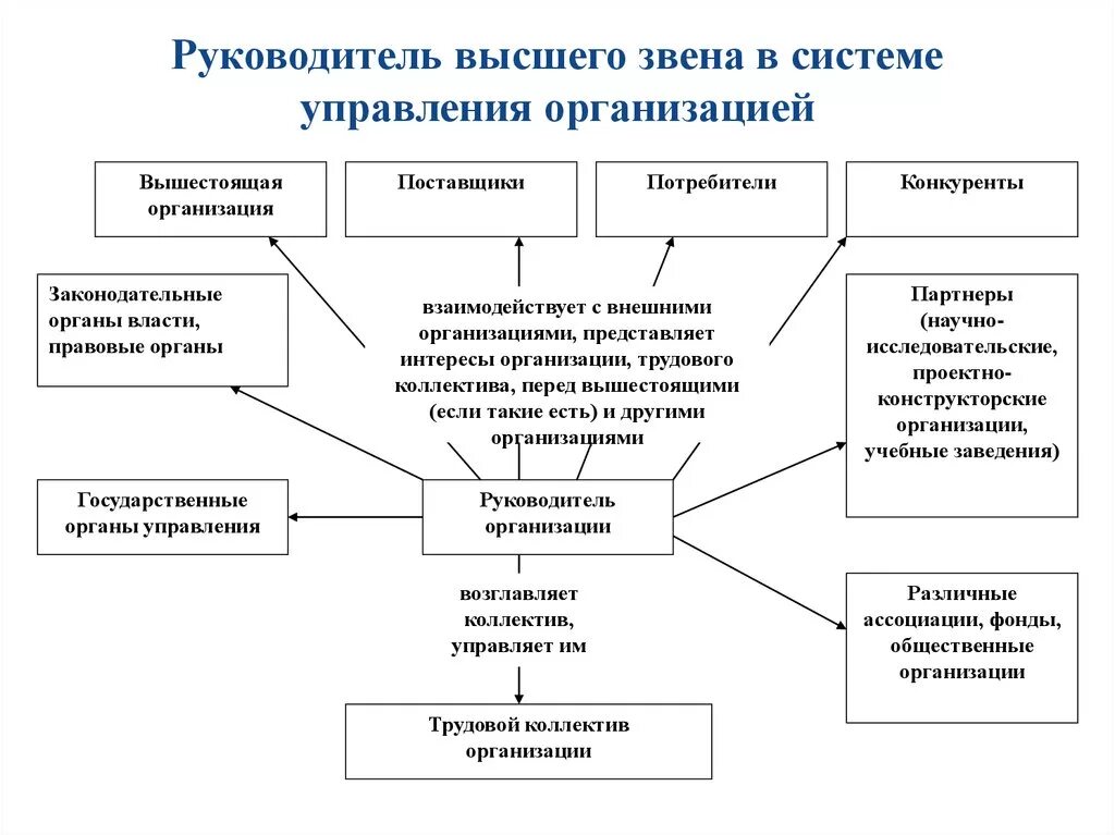 1 организация управление руководство