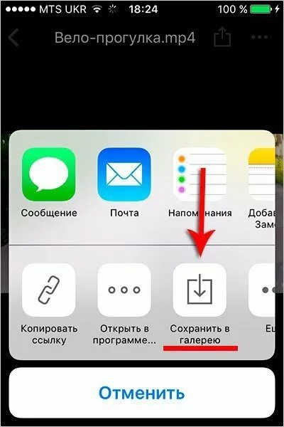 Как сохранить фото с яндекса на айфон. Яндекс на айфоне. куда сохраняются картинки с яндекса на айфоне. как сохранить картинку на айфон с яндекса. сохранить изображение на айфон.