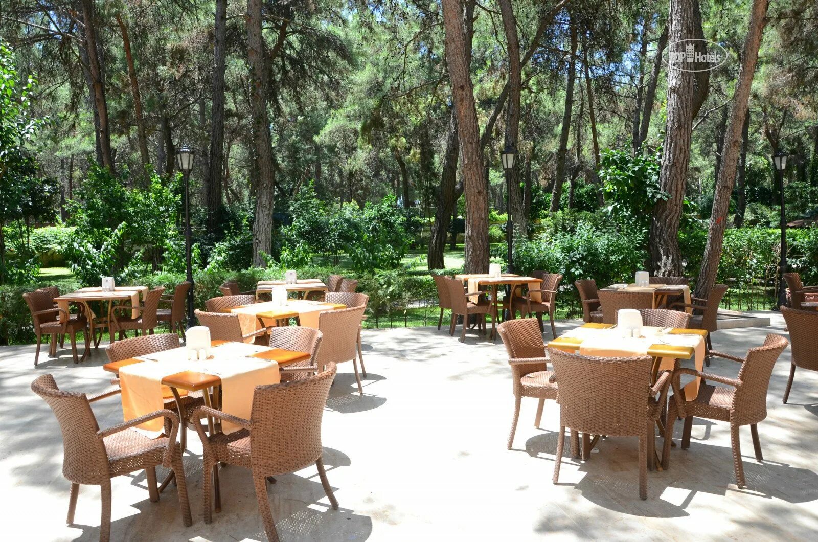 Отель фестиваль текирова. Club green nature resort. Отель в турции джинс клаб кемер. Клуб фестиваль текирова турция отель 4. Festival nature hotel 4 турция кемер.