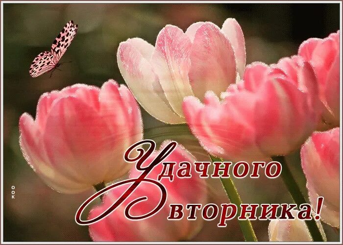 Доброе утро вторника март. Открытки вторник. Доброго вторника. Хорошего вторника. Открытка отличного вторника.