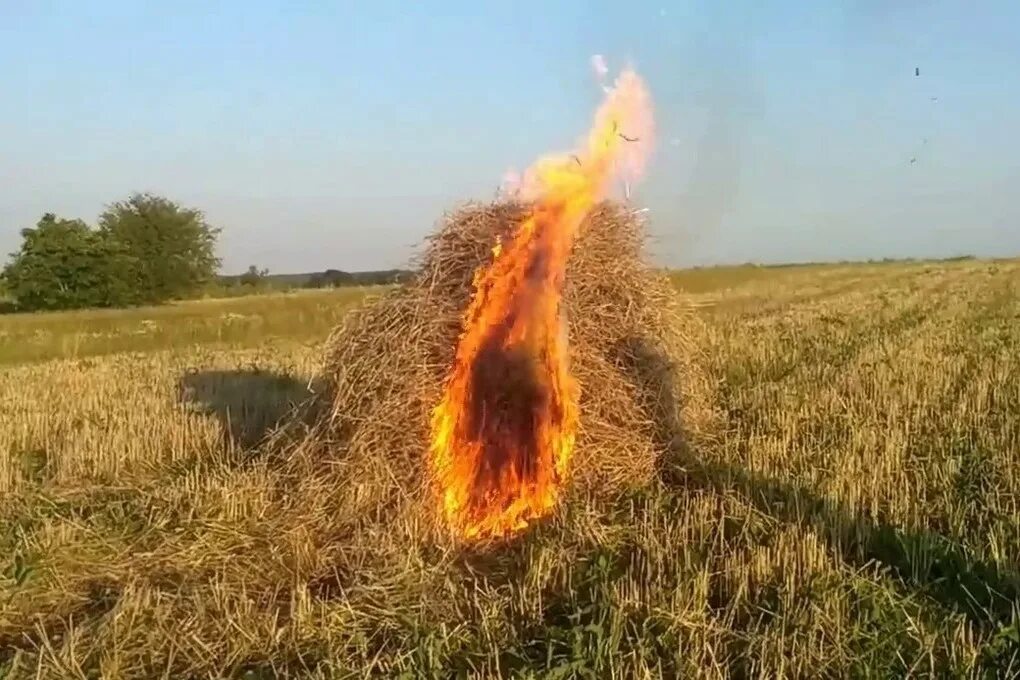 Прелое сено газ. Огонь и солома. Сено горит. Горит стог сена. Горит солома.