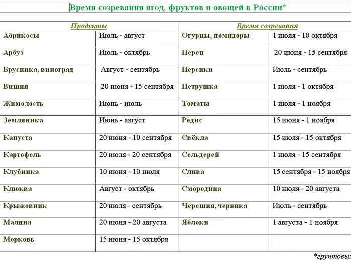 Сроки созревания овощей таблица. Таблица созревания овощей и фруктов в России. Срок созревания овощных культур. Сроки сбора урожая. Сроки созревания яблони