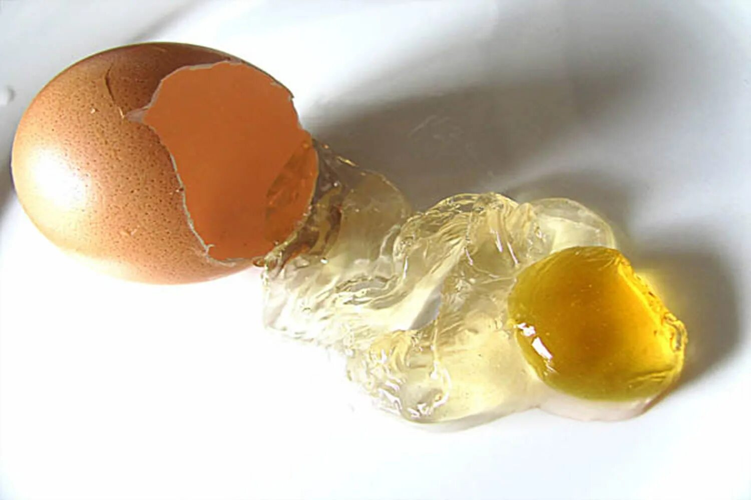 Яйцо трубочка