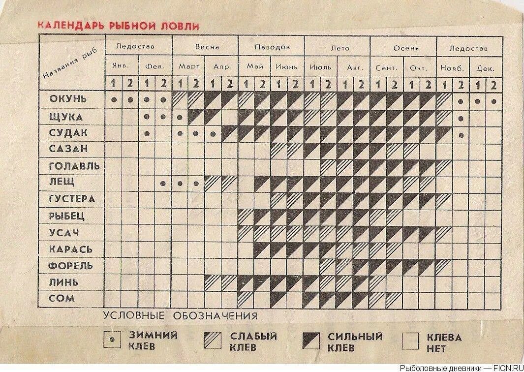 При ветре рыба клюет. Таблица атмосферного давления для ловли рыбы. Таблица давления ловли рыбы зимой. Оптимальное давление для ловли рыбы. Давление для рыбалки.