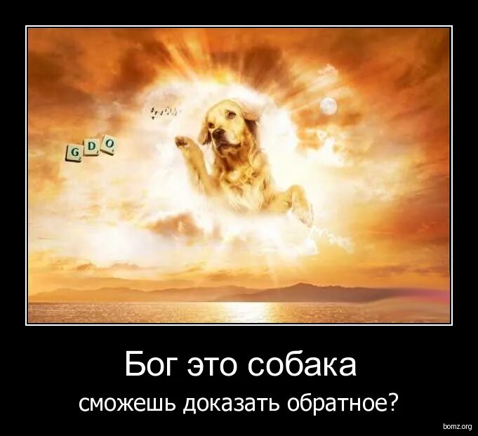 Бог всех собак. Бог собака. боженек собака. вера в бога собаку. бог с щенком.