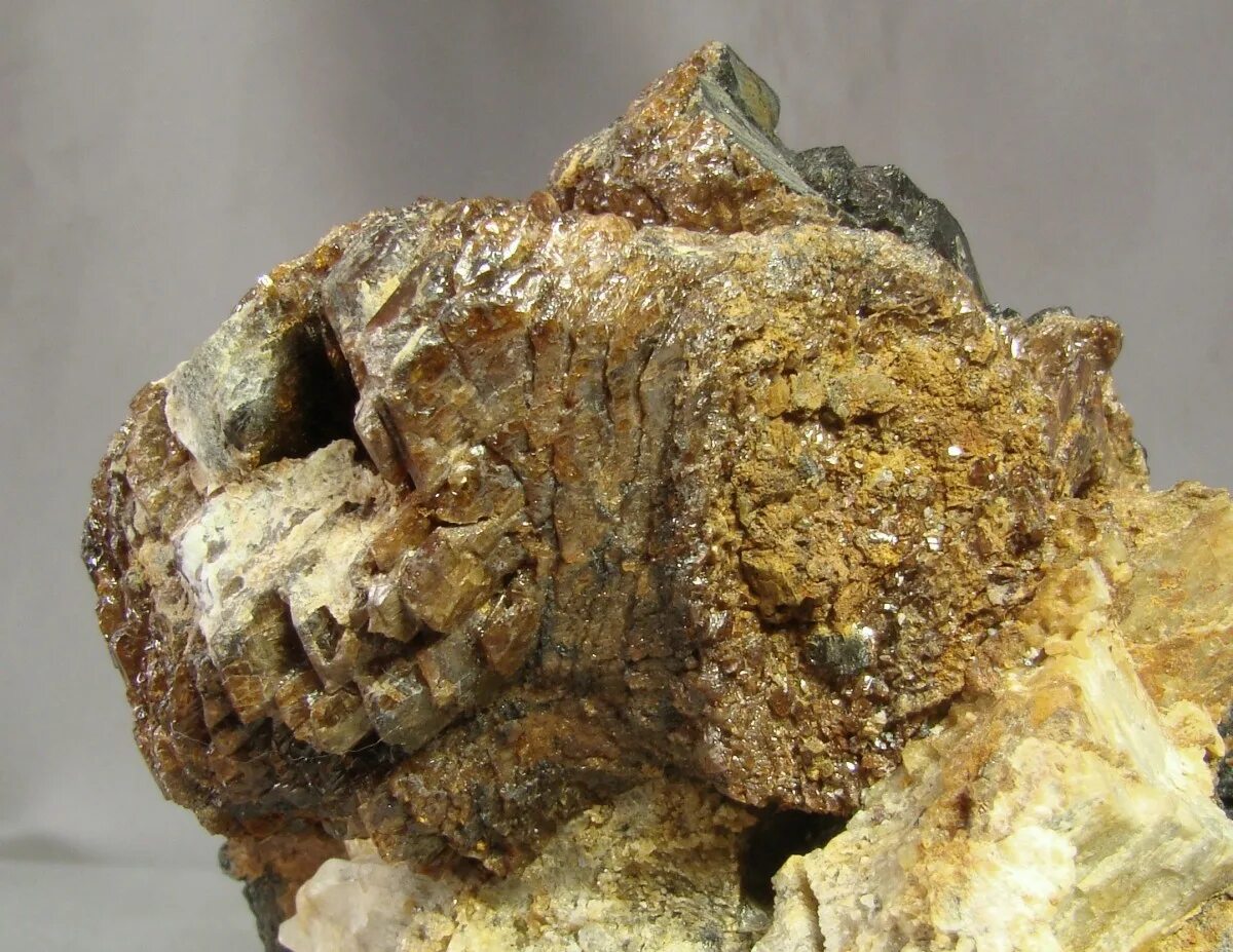 Гуммиарабик (е414). Ильменит минерал камень. Камедетечение у черешни. Анисовая кислота все виды. Камедетечение гоммоз вишни.