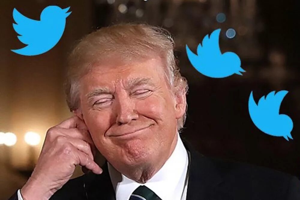 Твиттер трампа фото. Donald trump twitter. Трамп твиттер. Твиттер трампа. Трамп.