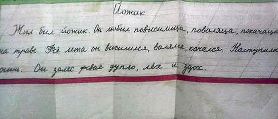 в чаще леса вскрылся лось. исправления в тетради. в чаще вскрылся лось. лес в первомайском районе. лось вскрылся в лесу.