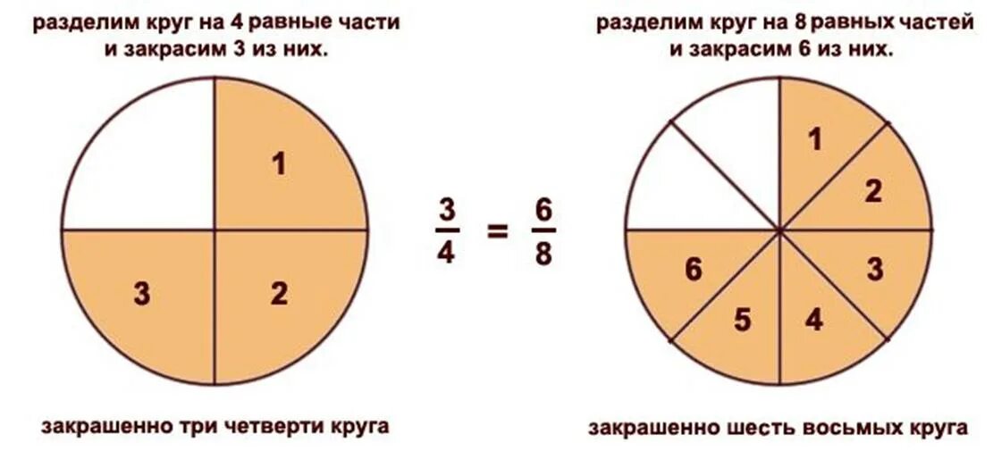 Четверо четверть. Окружность разделена на четверти. Круг разделенный на части. Круг разделенный на четверти. Три четверти круга.