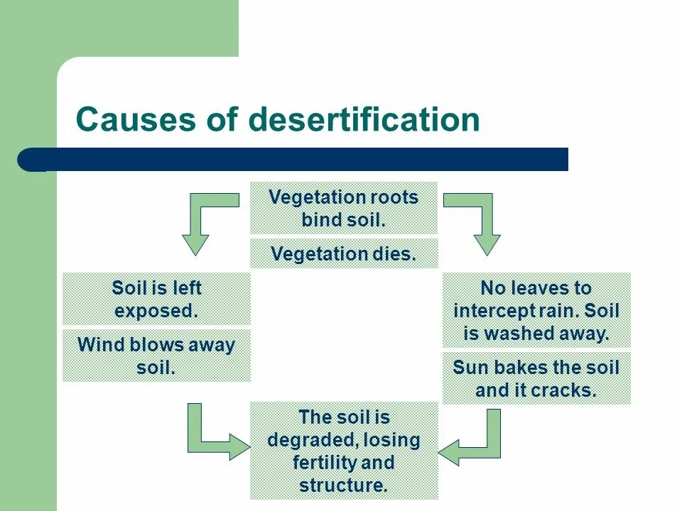 Vegetation and soils. Desertification. natural causes. natural causes of land desertification. the problem of desertification in uzbekistan and its consequences.