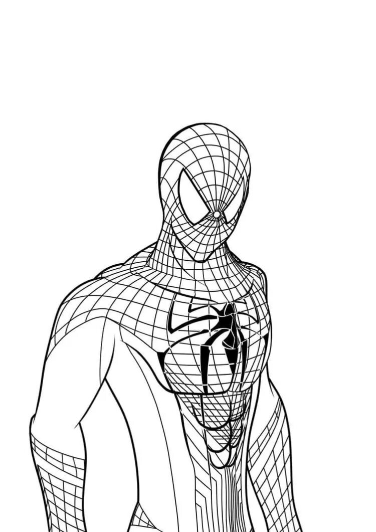 Человек паук рисунок. Раскраски человек паук the amazing Spider-man 2. Человек паук рисунок карандашом. Новый человек паук раскраска.