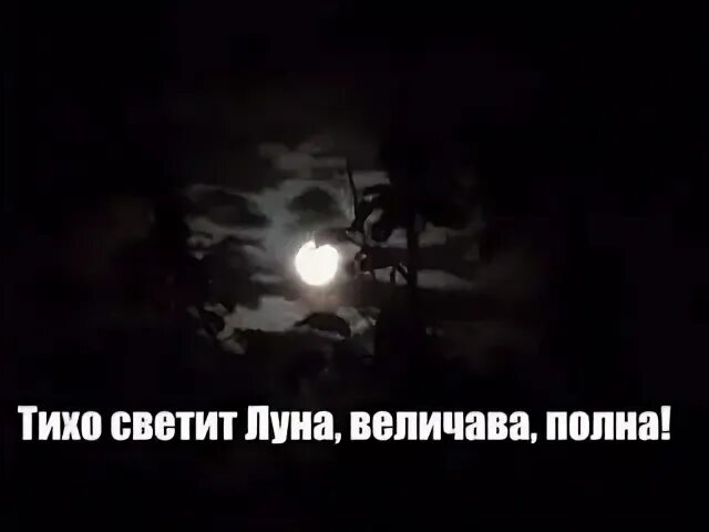 Светит луна там вдали. Тихо светит Луна. Тихо светит Луна руки вверх. Тихо светит Луна слушать. Тихо светит Луна руки вверх слушать.