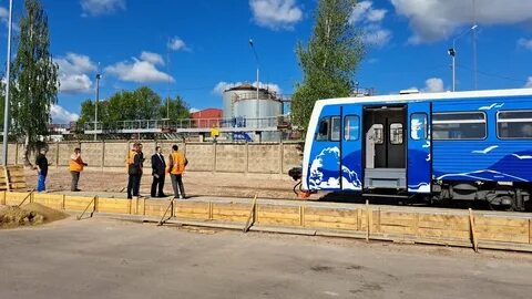 Нерпочка сортавала