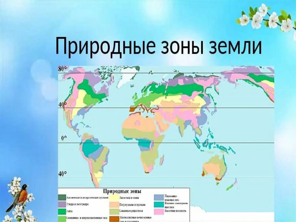 Природные зоны. Природные зоны земли. Карта природных зон. Природные зоны земли карта. Особенности природных зон земли