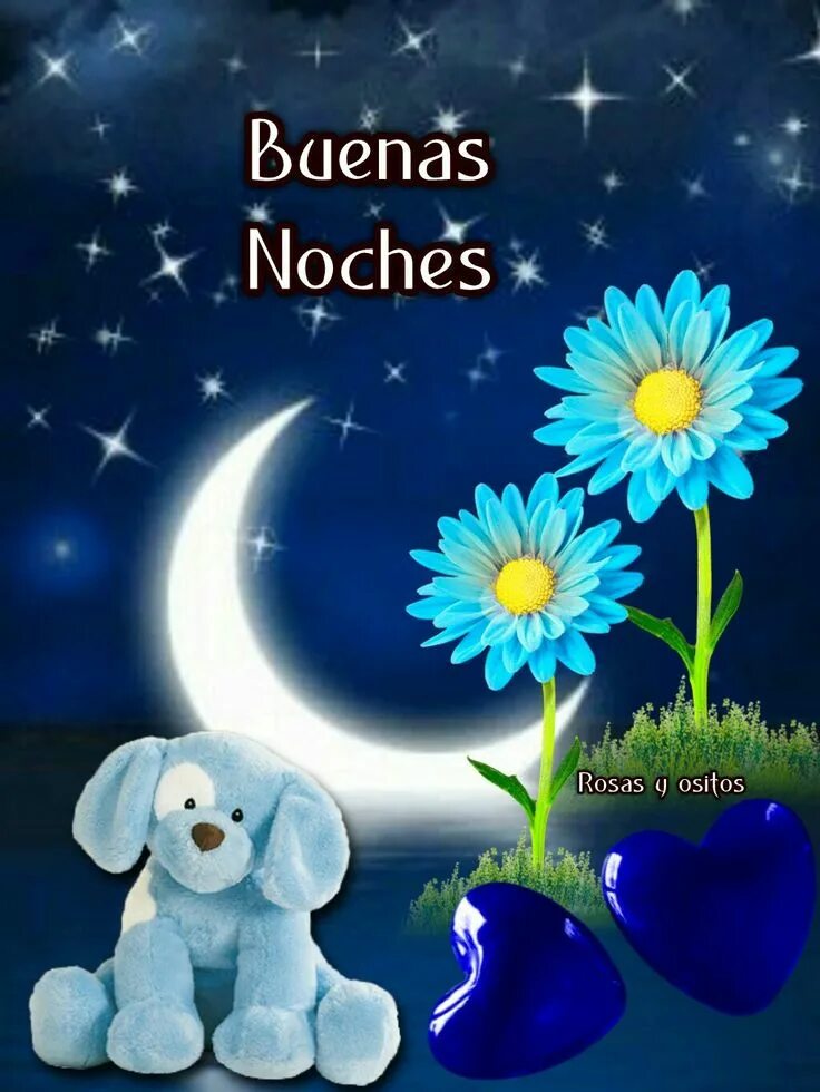 Буэнос ночес. Буэнос ночес. Открытки с buenas noches. Buenas noches перевод. Buenas noches перевод.