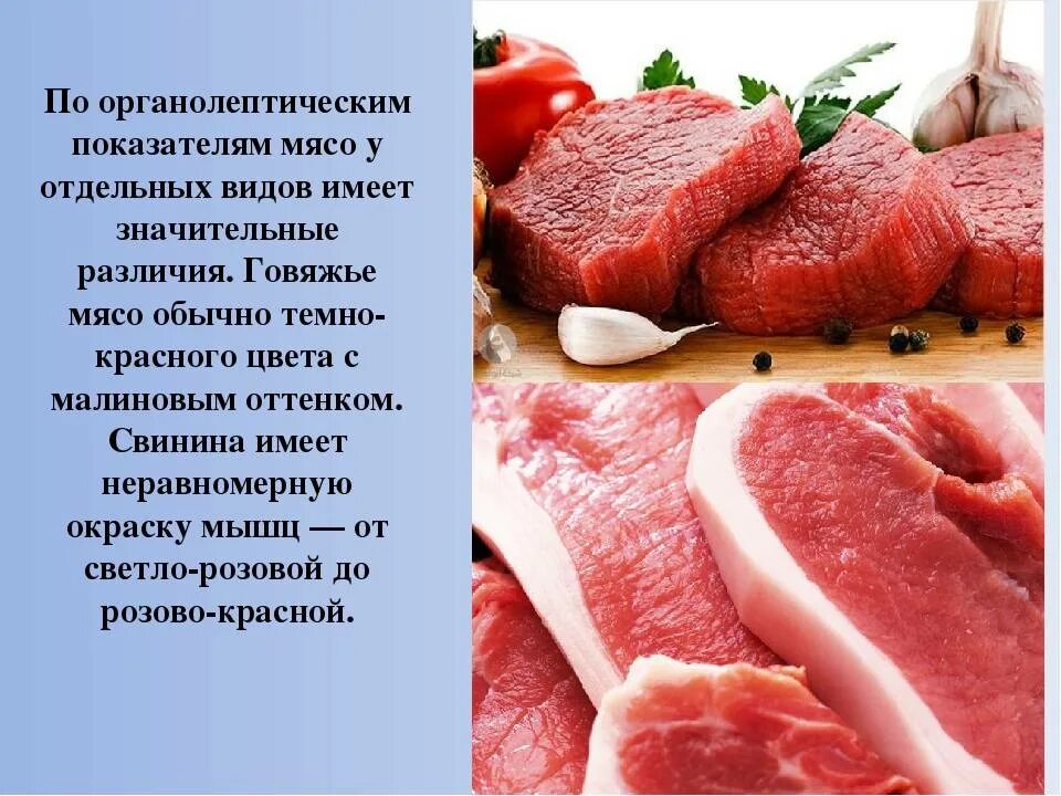Органолептическая оценка качества мяса