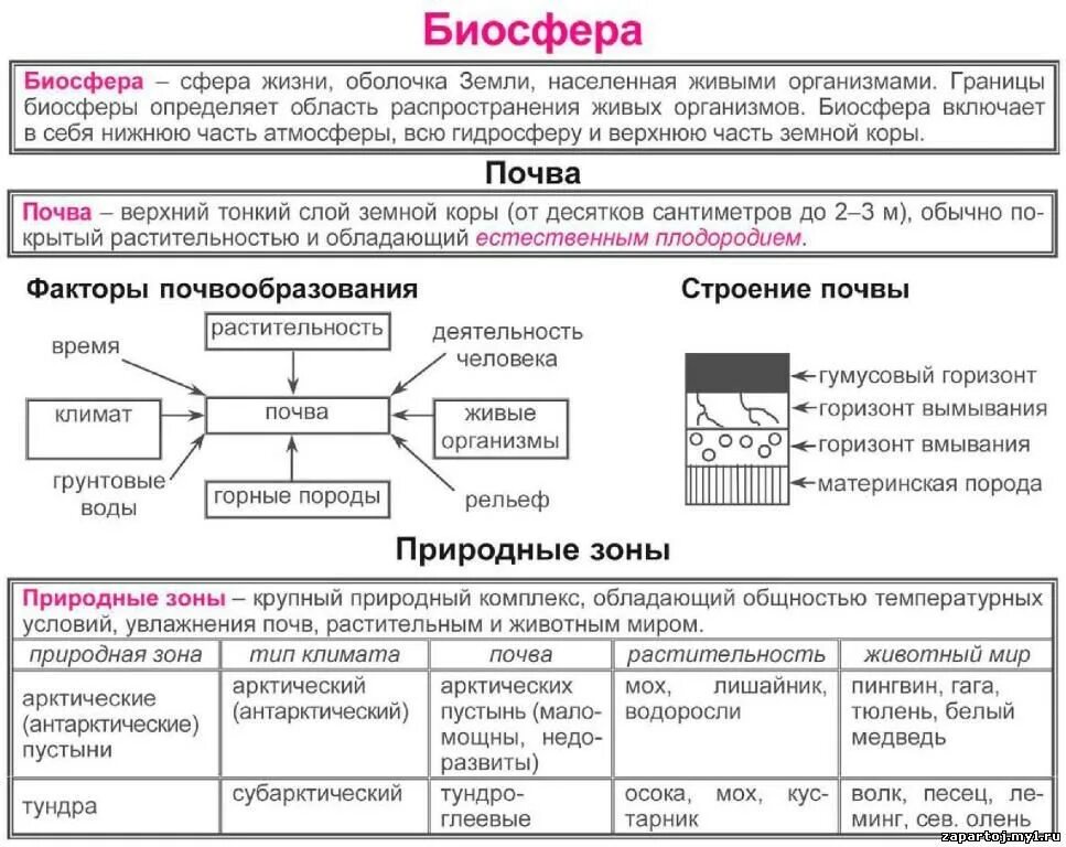 Таблица Биосфера и ее границы. География в таблицах и схемах. Биосфера 6 класс география таблица. ЕГЭ география в схемах и таблицах.