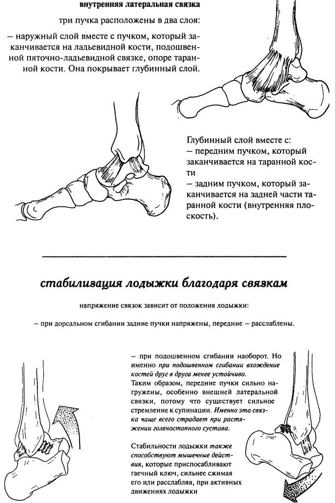 Боль в голеностопном суставе и верх