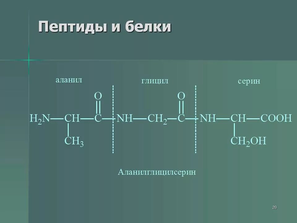 Полипептиды содержат в цепи. Пептиды. Пептиды это. Пептиды и белки. Белковые пептиды.