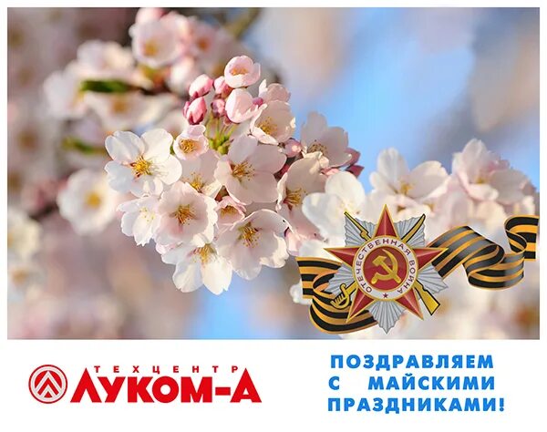 4 мая праздник картинки. Майские праздники. поздравление с майскими праздниками. коллег с майскими праздниками. майские празндик.