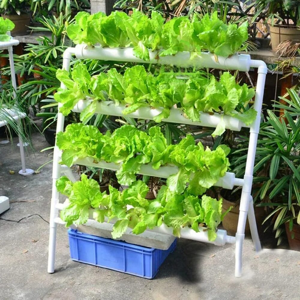 Как продать nft и продать ее. Nft гидропоника. nft system hydroponic. nft hydroponic grow. nft абезиана.