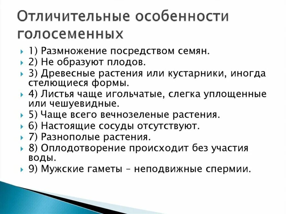 Каковы признаки голосеменных