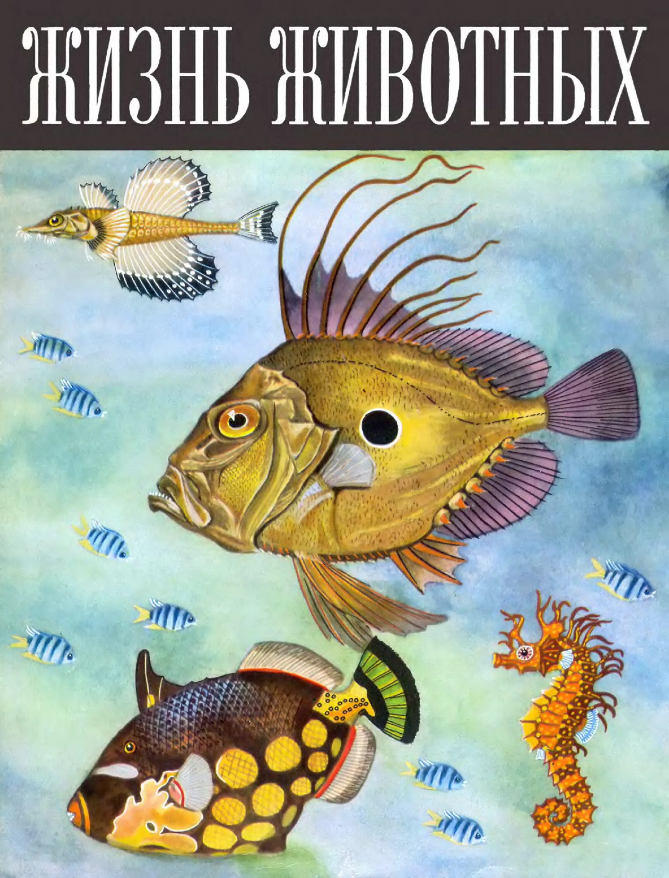 Жизнь животных том 5. Жизнь животных. Просвещение 1968. Энциклопедия жизнь животных. Жизнь животных книга. Жизнь животных энциклопедия в 7 томах.